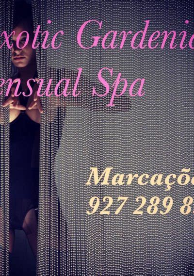 Erotic massage Porto de Mos