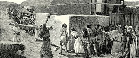 ropstvo Bordel Kambia