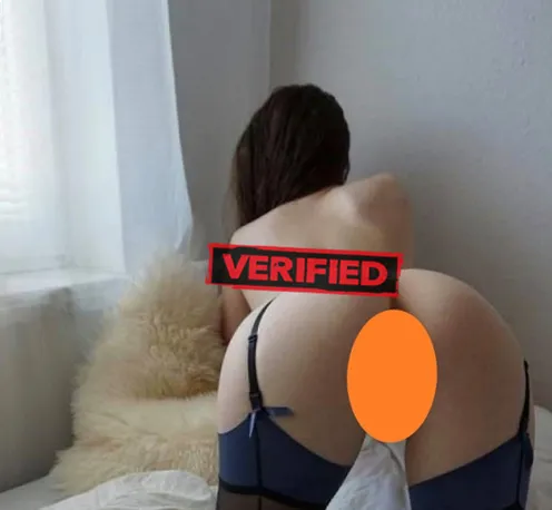 Katie Sex Prostituierte Haag